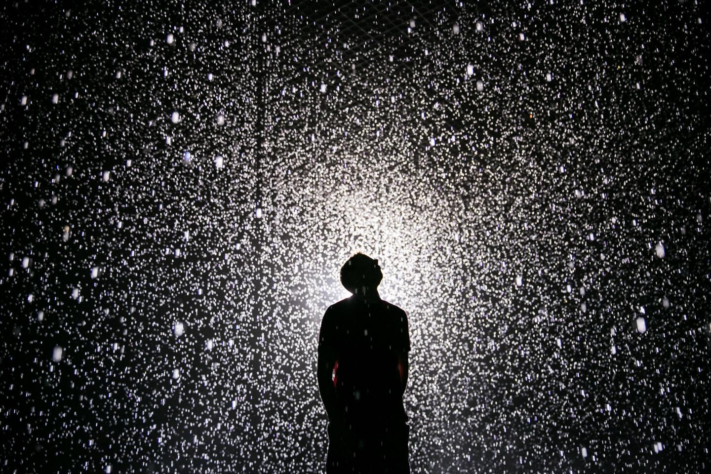 "The Rainroom"